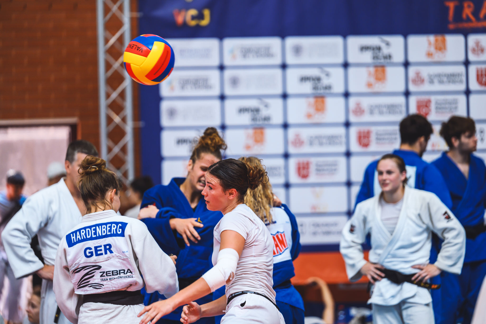  JBD6251