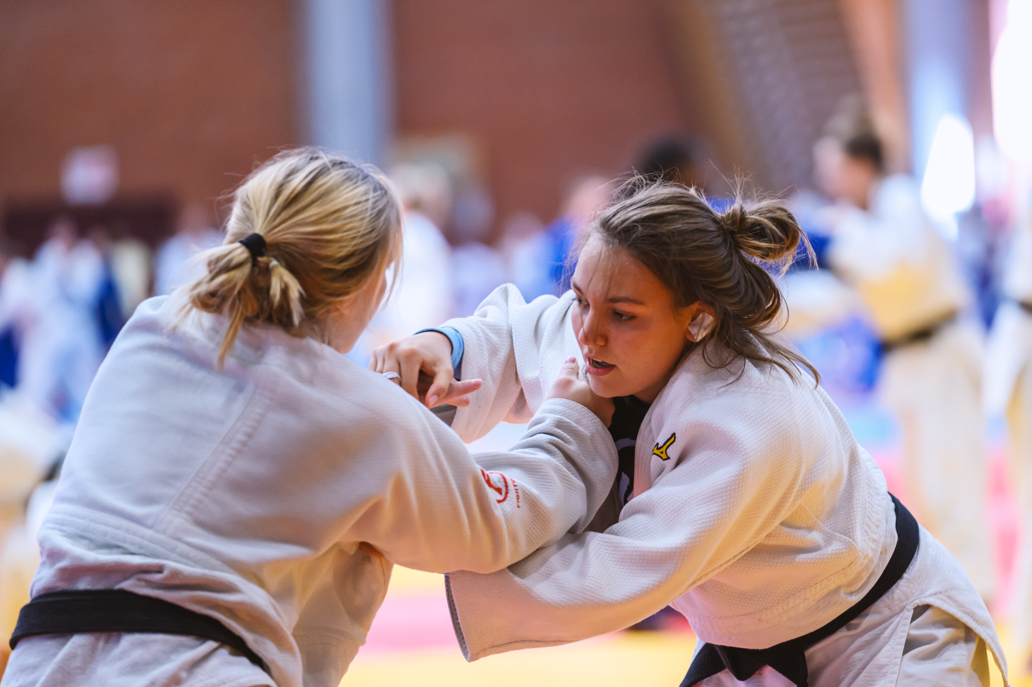  JBD6612