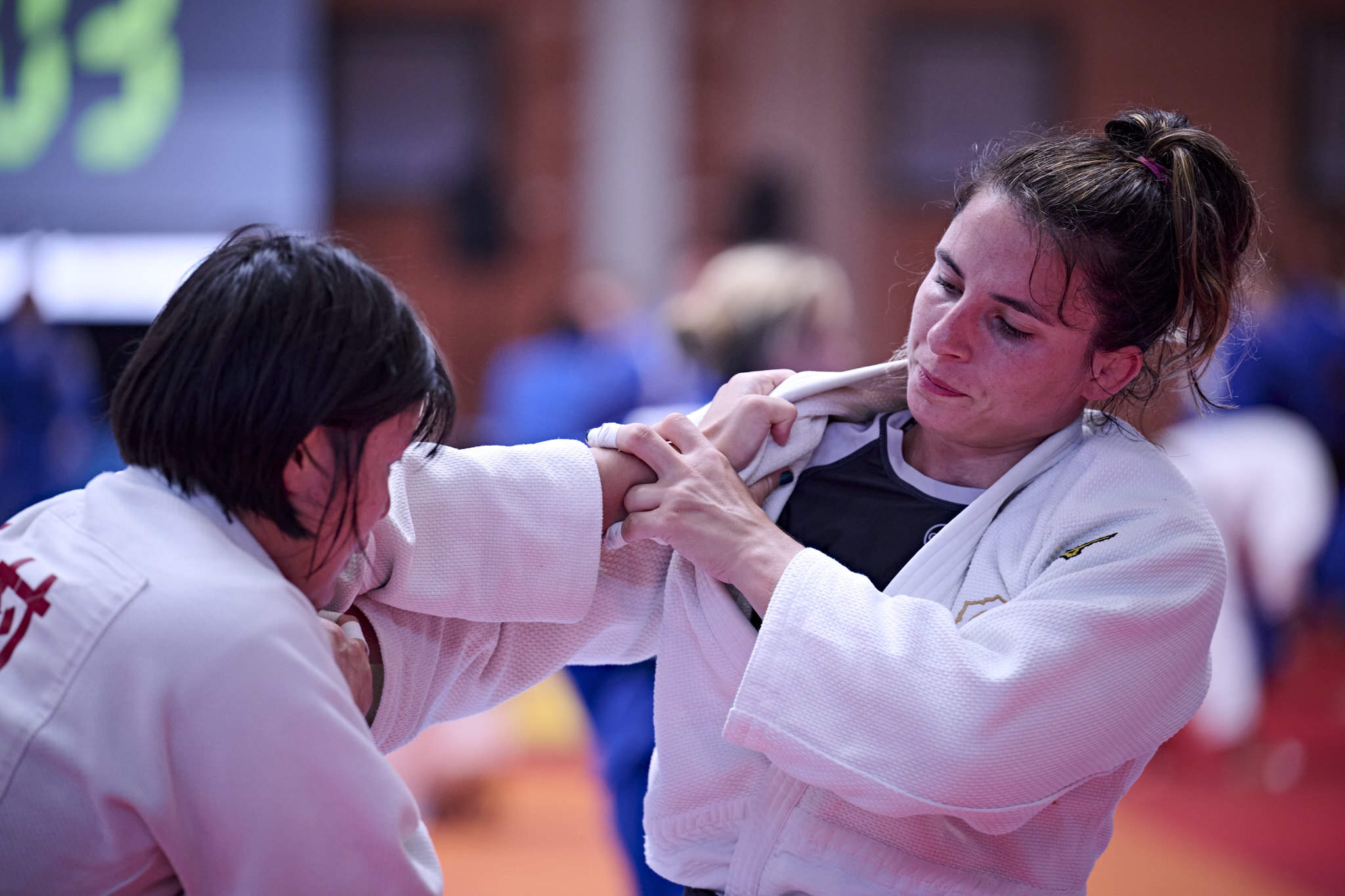  JBD0243