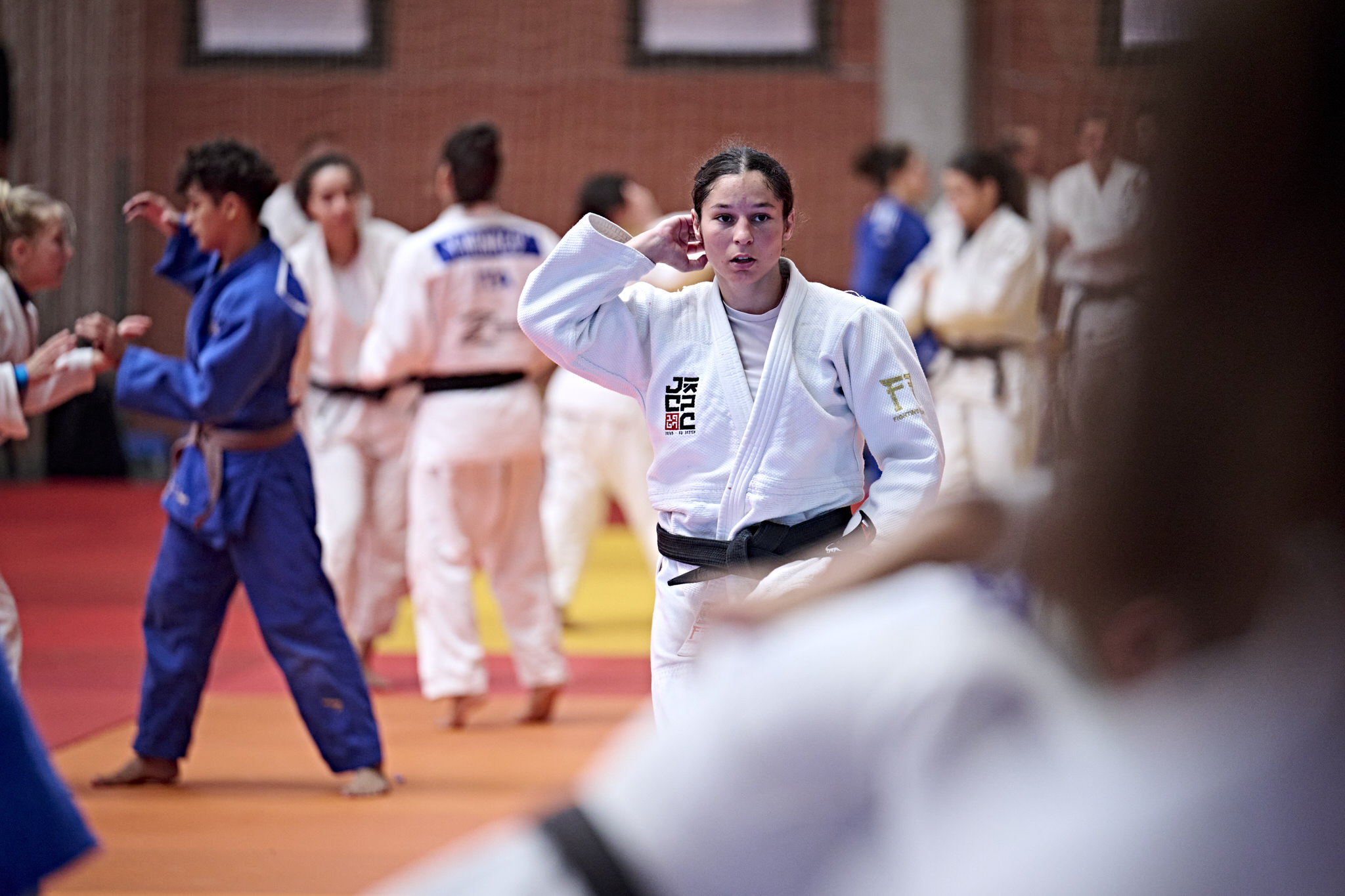  JBD3533